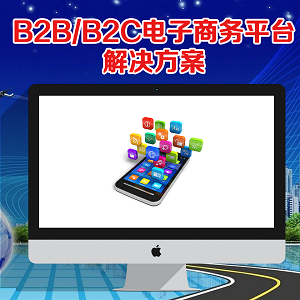 B2B/B2C电子商务平台解决方案